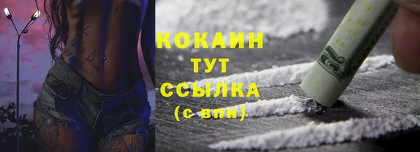 дживик Киренск