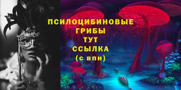 2c-b Кодинск