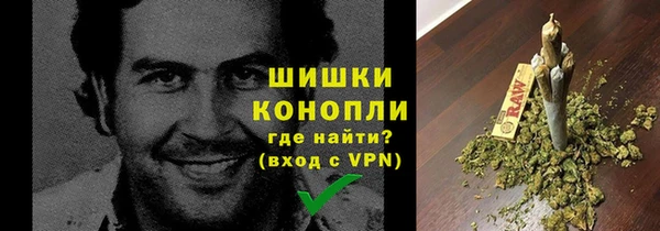 дживик Киренск