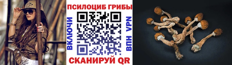 Псилоцибиновые грибы ЛСД  кракен сайт  Козловка 